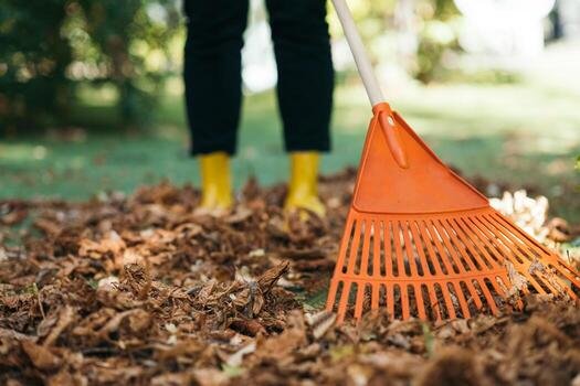 Yard cleanup example
